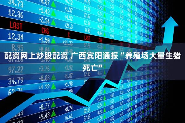 配资网上炒股配资 广西宾阳通报“养殖场大量生猪死亡”
